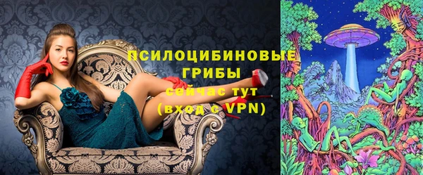 стаф Абинск