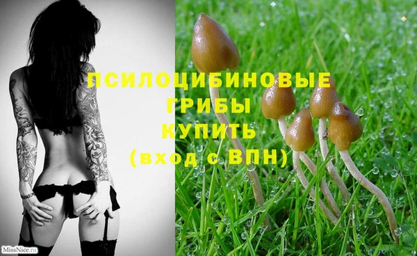марки lsd Абаза