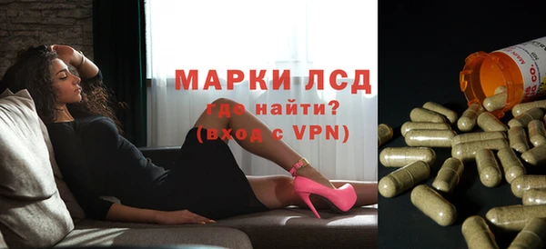 стаф Абинск
