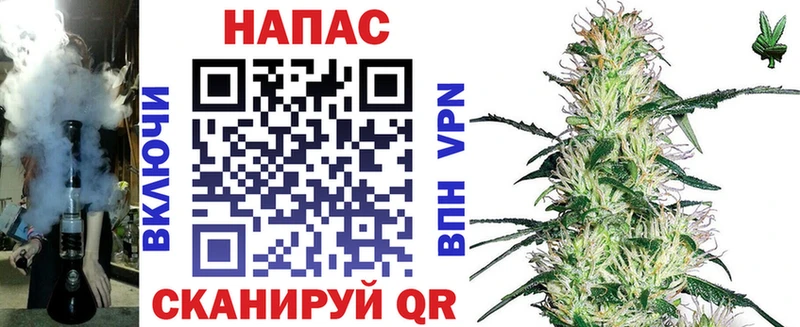 хочу   Фурманов  Каннабис семена 